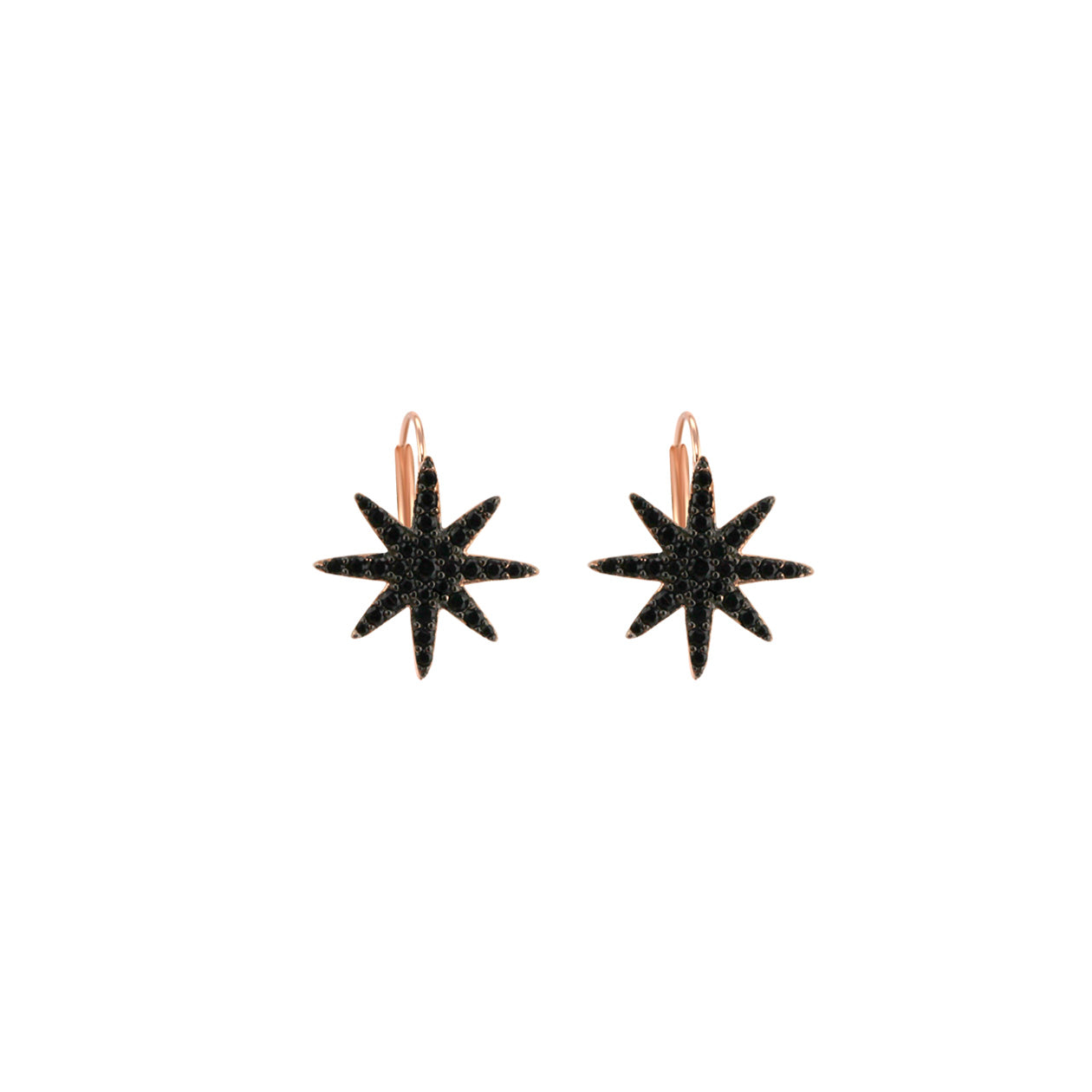 Les Favorites earrings