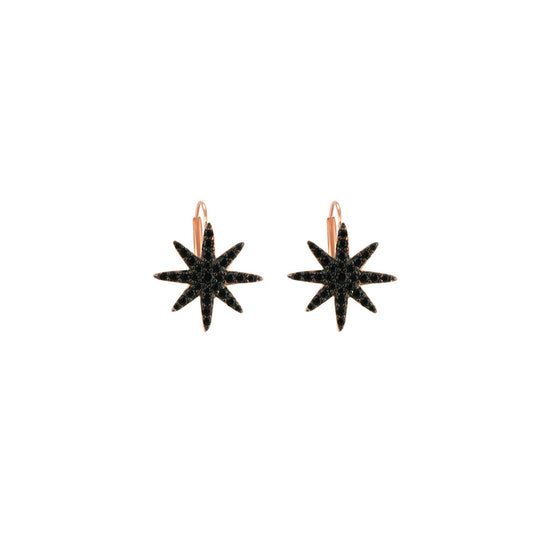 Les Favorites earrings