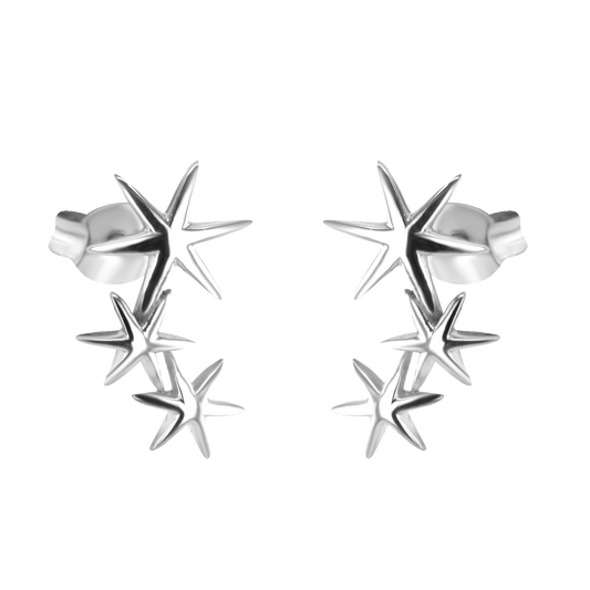 Boucles d'oreilles Les Favorites